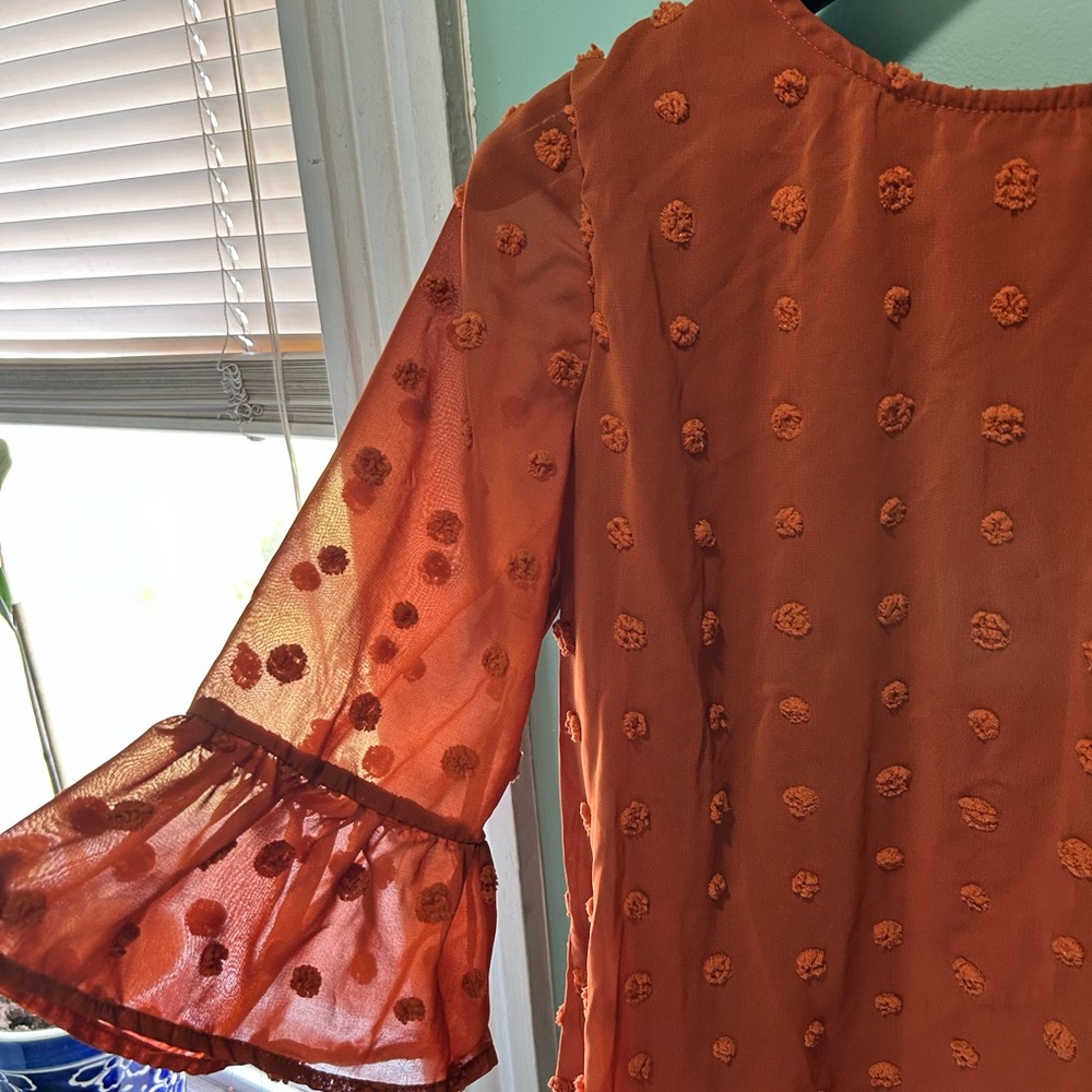 Textured Ruffle-Sleeve Blouse in Rust Orange - Picture 2 of 4